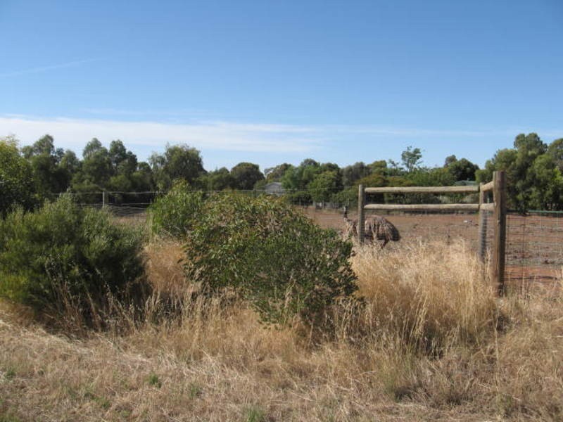 Lt 4 Cnr Of Nth Tce & Day Street, Kapunda SA 5373