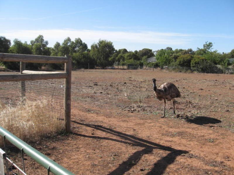 Lt 4 Cnr Of Nth Tce & Day Street, Kapunda SA 5373