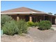 31 Light Street, Kapunda SA 5373