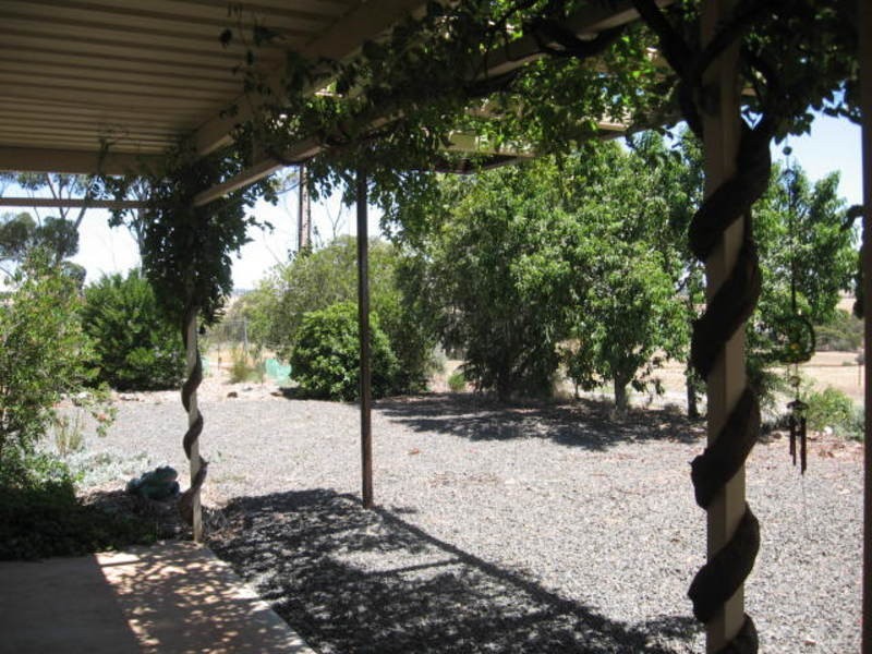 31 Light Street, Kapunda SA 5373