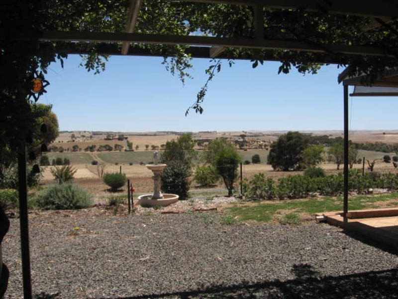 31 Light Street, Kapunda SA 5373