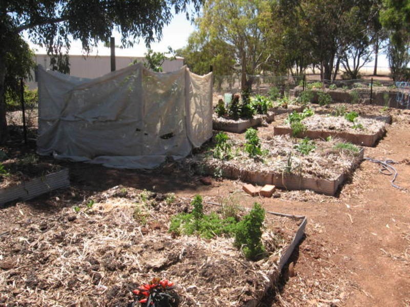 31 Light Street, Kapunda SA 5373