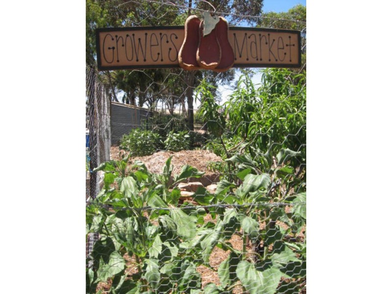 31 Light Street, Kapunda SA 5373