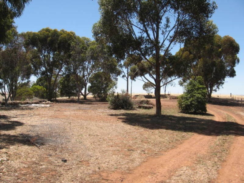 31 Light Street, Kapunda SA 5373