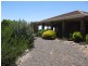 31 Light Street, Kapunda SA 5373