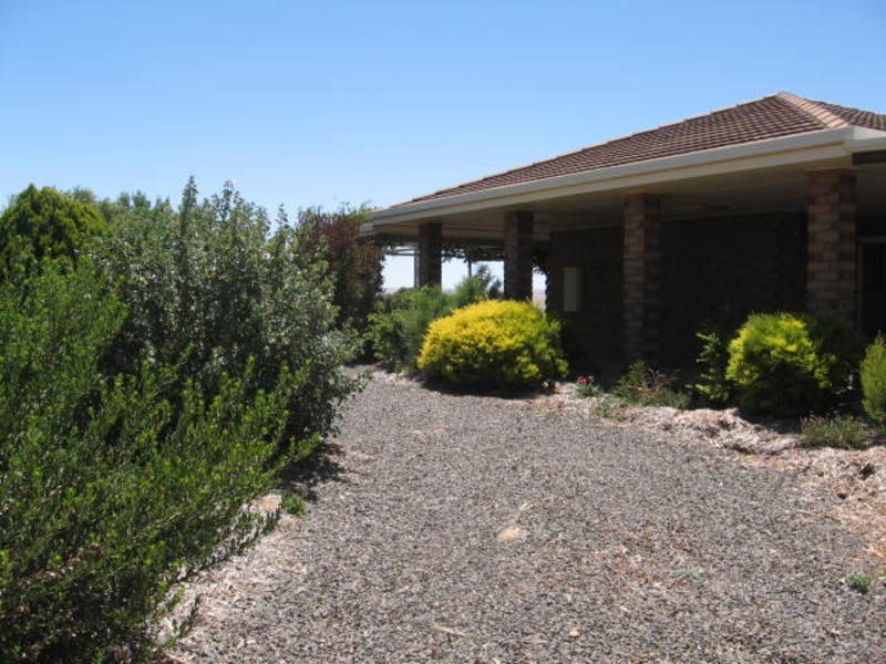 31 Light Street, Kapunda SA 5373
