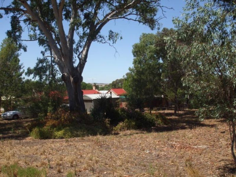 4 North Street, Kapunda SA 5373