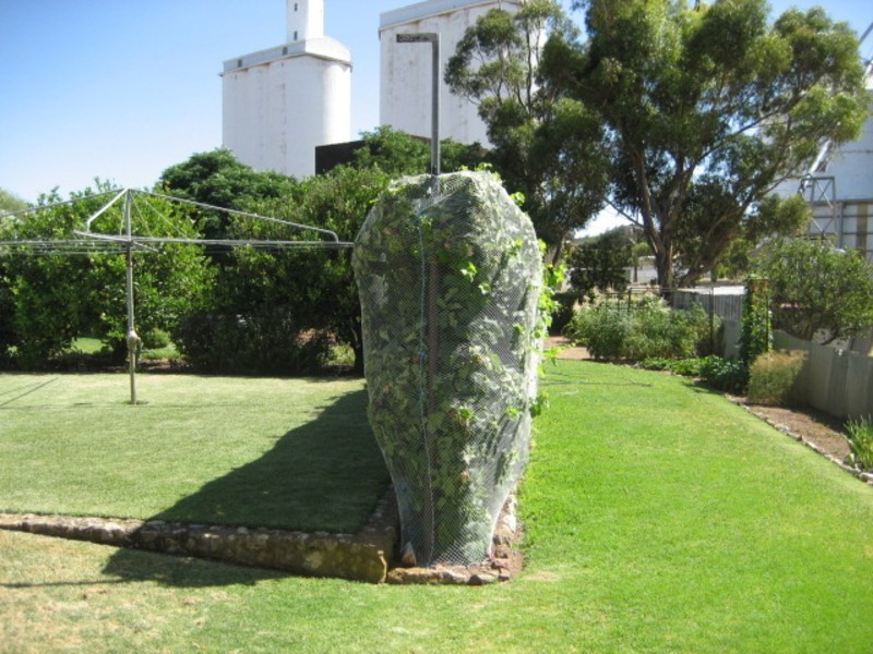 16 South Terrace, Eudunda SA 5374