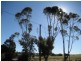Lot 899 Government Road, Eudunda SA 5374