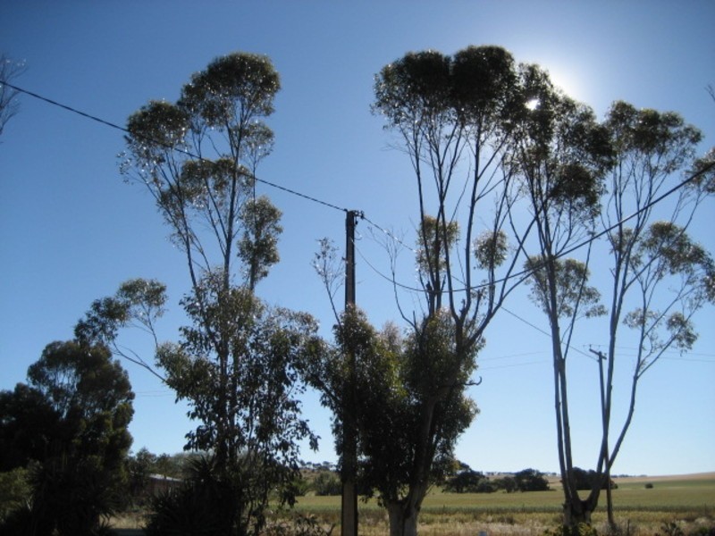 Lot 899 Government Road, Eudunda SA 5374