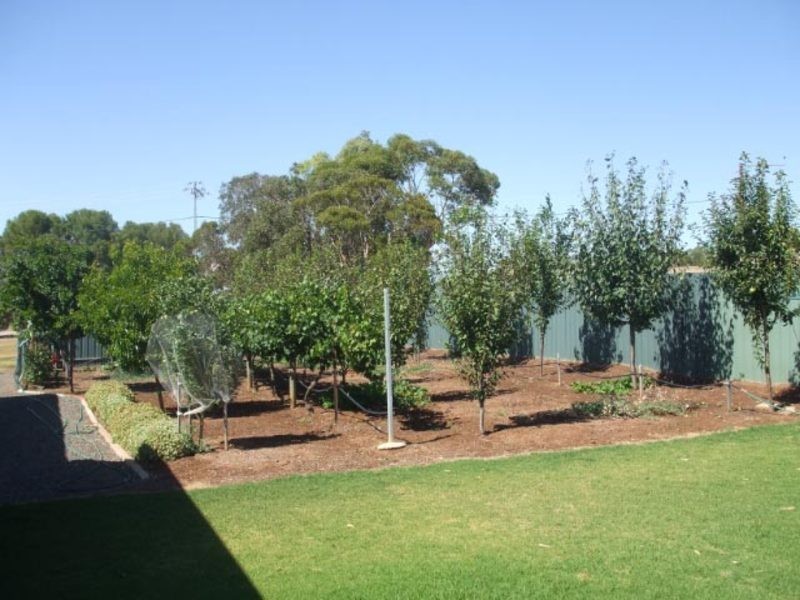 4 Nash Street, Kapunda SA 5373