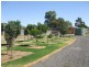 4 Nash Street, Kapunda SA 5373
