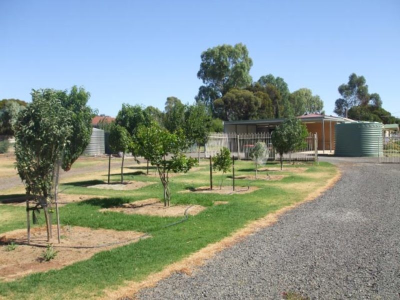 4 Nash Street, Kapunda SA 5373