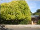 9 Stock Street, Kapunda SA 5373