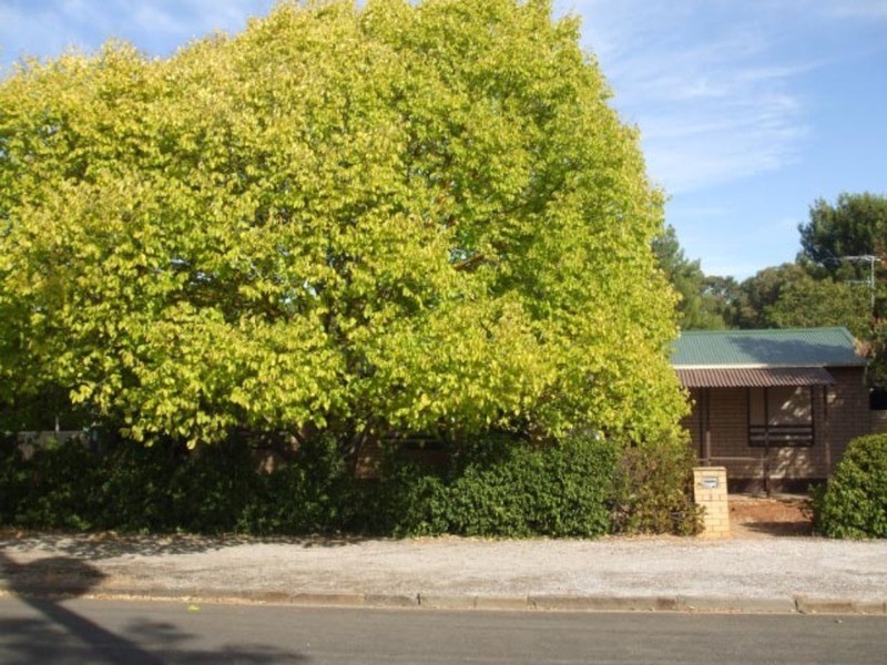 9 Stock Street, Kapunda SA 5373