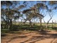 Lot 3 Plains Road, Eudunda SA 5374
