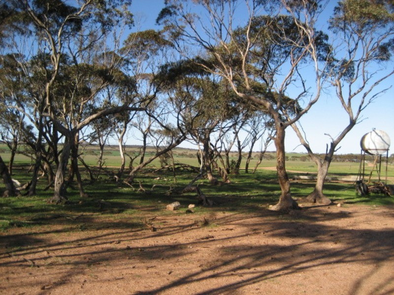 Lot 3 Plains Road, Eudunda SA 5374