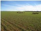 Lot 3 Plains Road, Eudunda SA 5374