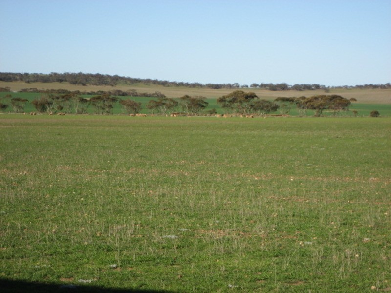 Lot 3 Plains Road, Eudunda SA 5374