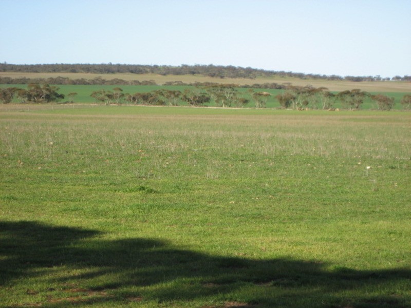 Lot 3 Plains Road, Eudunda SA 5374