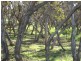 Lot 3 Plains Road, Eudunda SA 5374