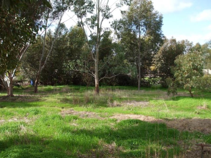 14 Wheatley Street, Kapunda SA 5373