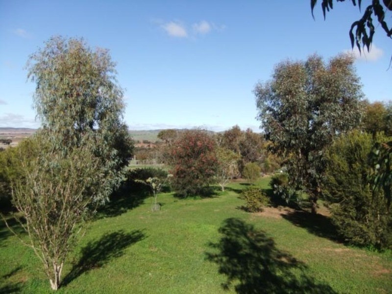 12 Amelia Street, Kapunda SA 5373