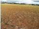 Section 360 Deep Creek Road, Eudunda SA 5374