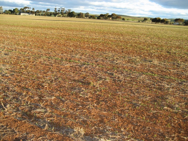 Section 360 Deep Creek Road, Eudunda SA 5374