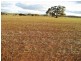 Section 360 Deep Creek Road, Eudunda SA 5374
