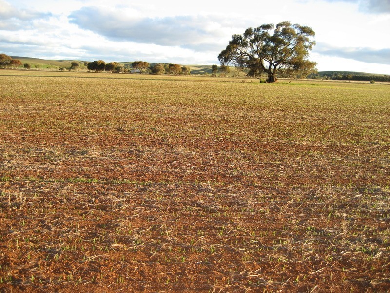 Section 360 Deep Creek Road, Eudunda SA 5374