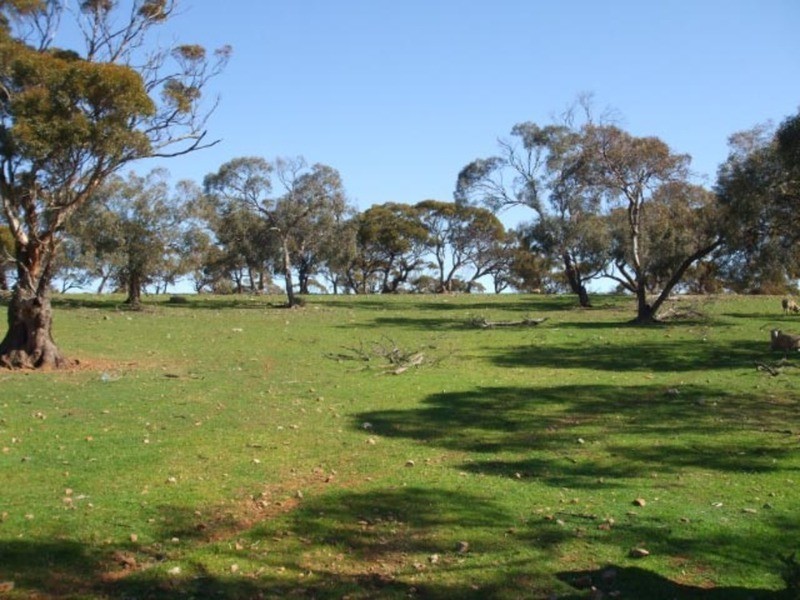Lot 63 Deep Creek Road, Eudunda SA 5374