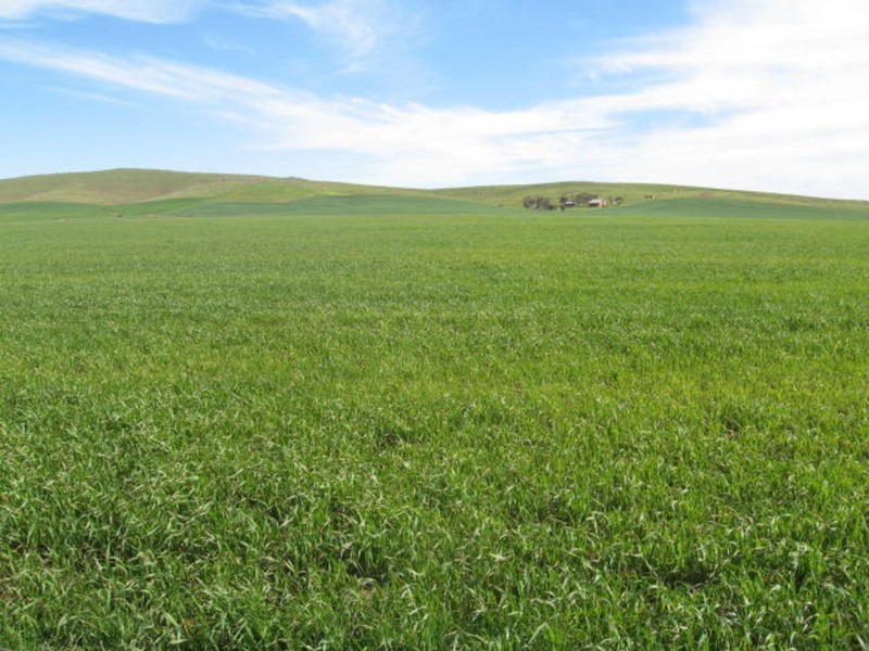 Section 300 Truro Road, Eudunda SA 5374