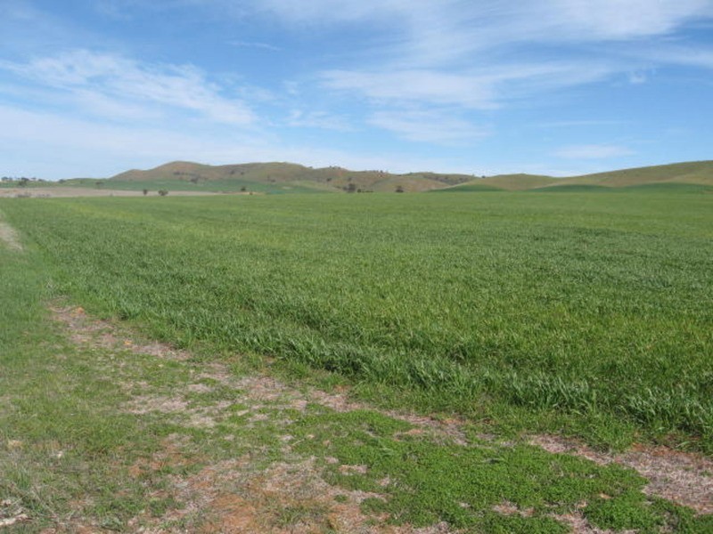 Section 300 Truro Road, Eudunda SA 5374