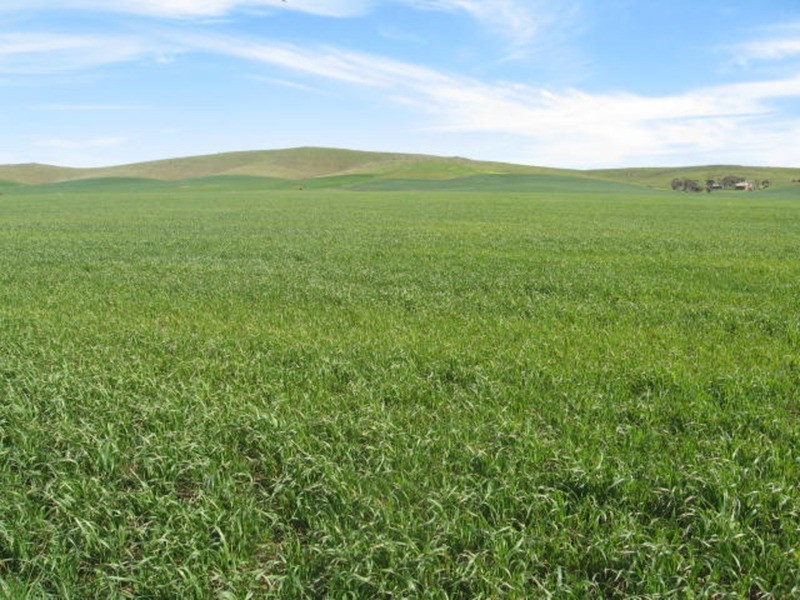 Section 300 Truro Road, Eudunda SA 5374