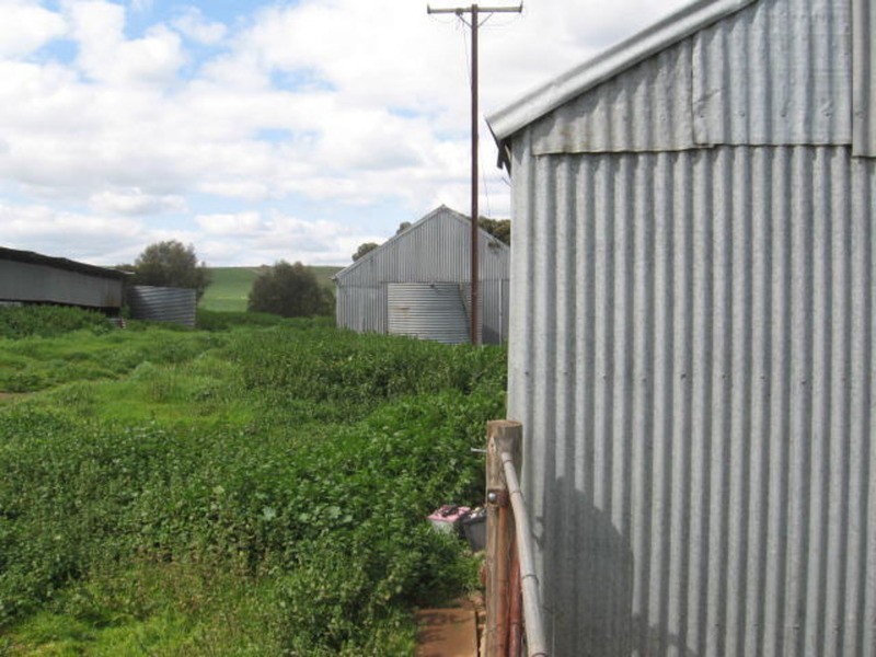 Lot 10 Eudunda-marrabel Road, Eudunda SA 5374