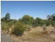 5 Amelia Street, Kapunda SA 5373