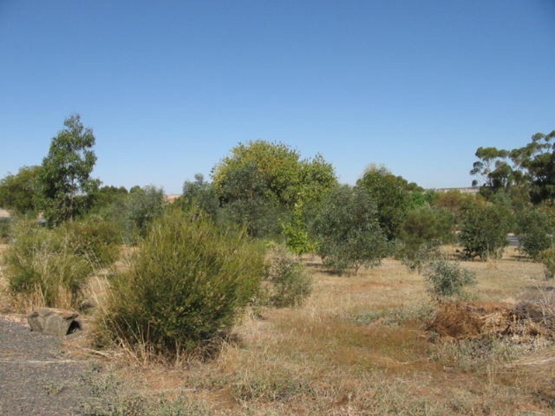 5 Amelia Street, Kapunda SA 5373