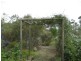 5 Amelia Street, Kapunda SA 5373