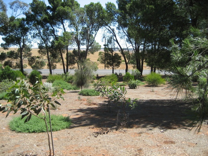 Section 496 Julia Road, Eudunda SA 5374