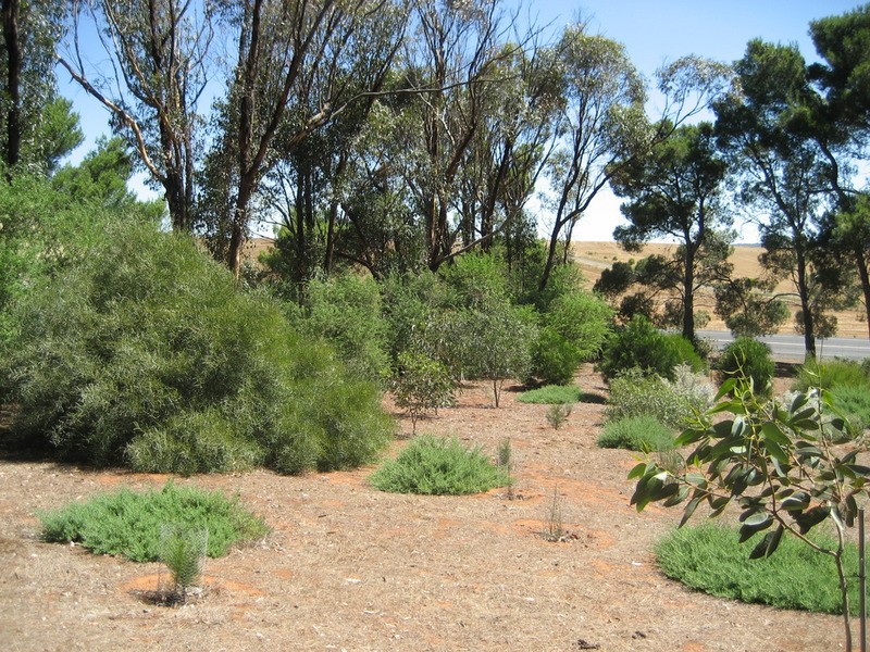 Section 496 Julia Road, Eudunda SA 5374