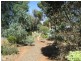 62 Barwell Street, Eudunda SA 5374