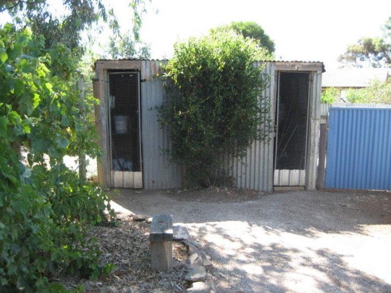 62 Barwell Street, Eudunda SA 5374