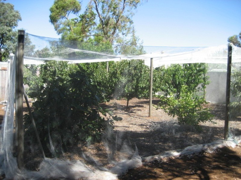 62 Barwell Street, Eudunda SA 5374
