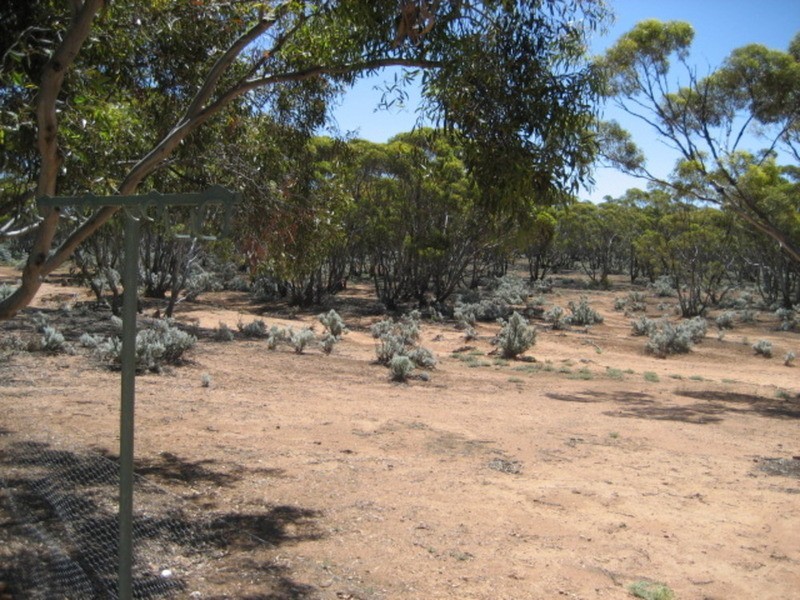 Section 225 Stockroute Road, Eudunda SA 5374