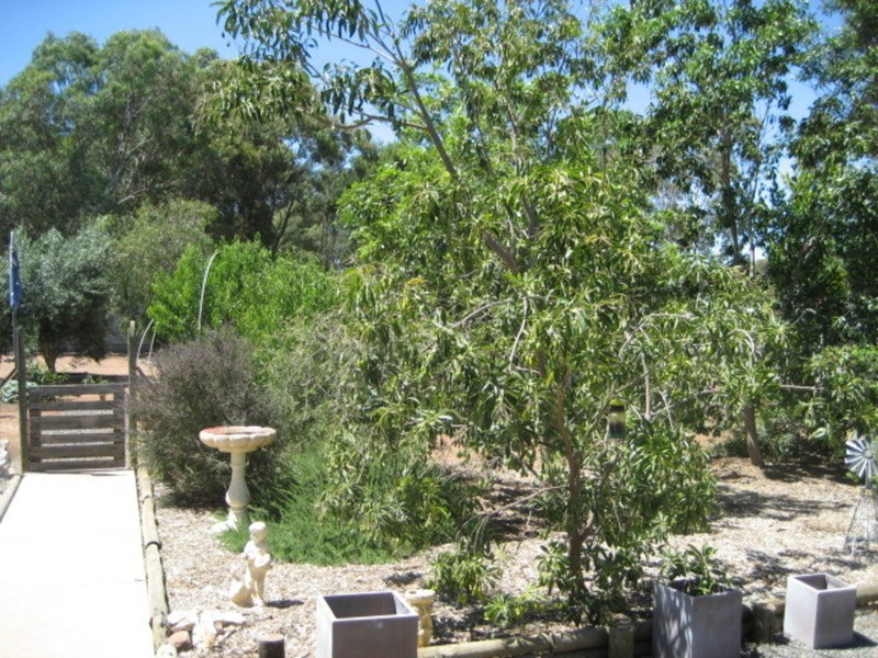 3 Fuller Street, Kapunda SA 5373