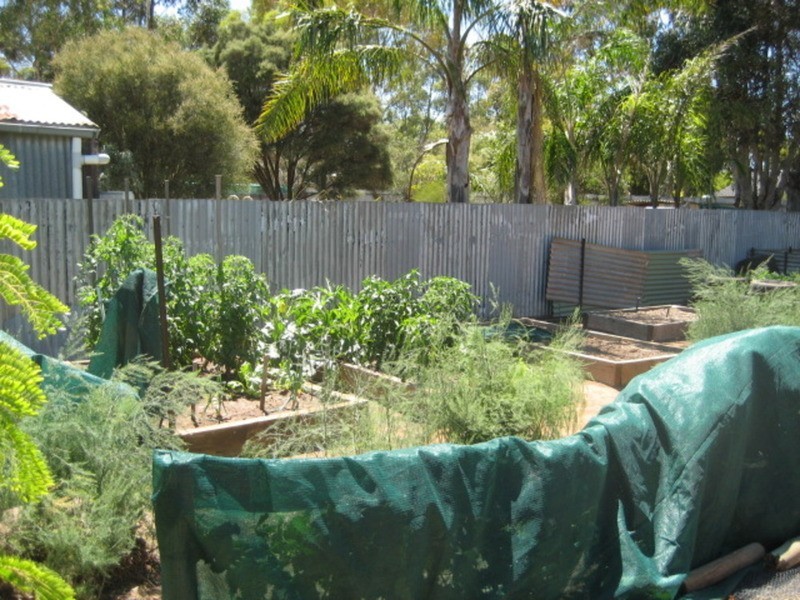 3 Fuller Street, Kapunda SA 5373