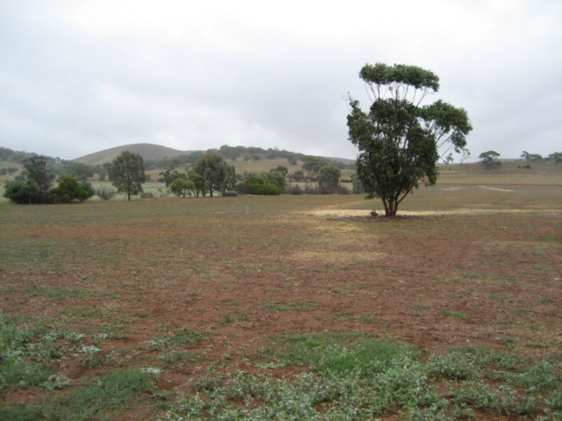 Section 375 Stockroute Road, Point Pass SA 5374