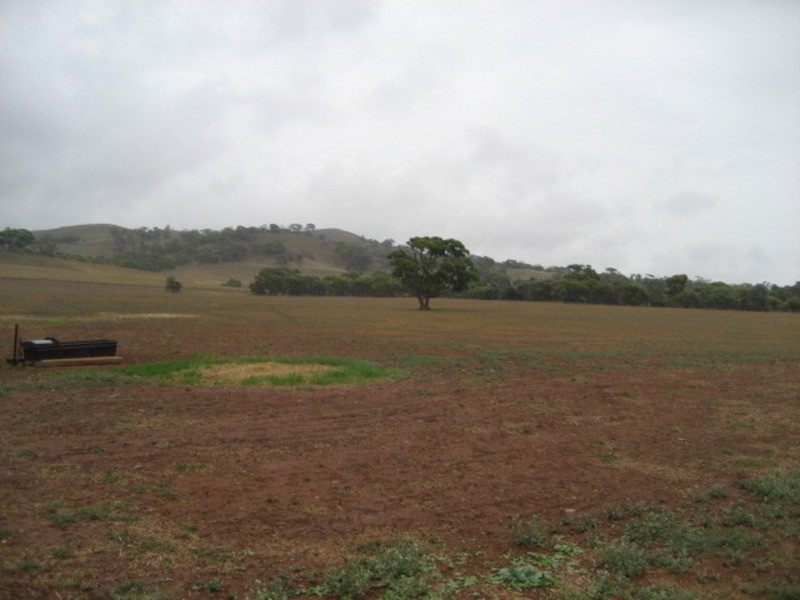 Section 375 Stockroute Road, Point Pass SA 5374