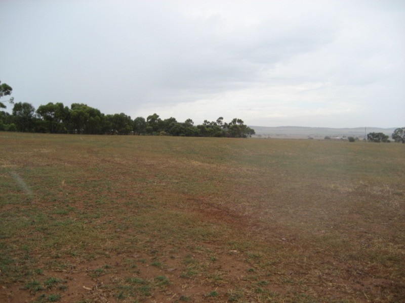 Section 375 Stockroute Road, Point Pass SA 5374